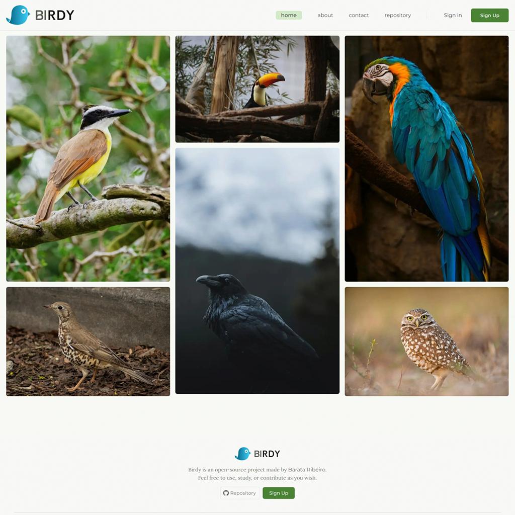 Birdy - Social Network